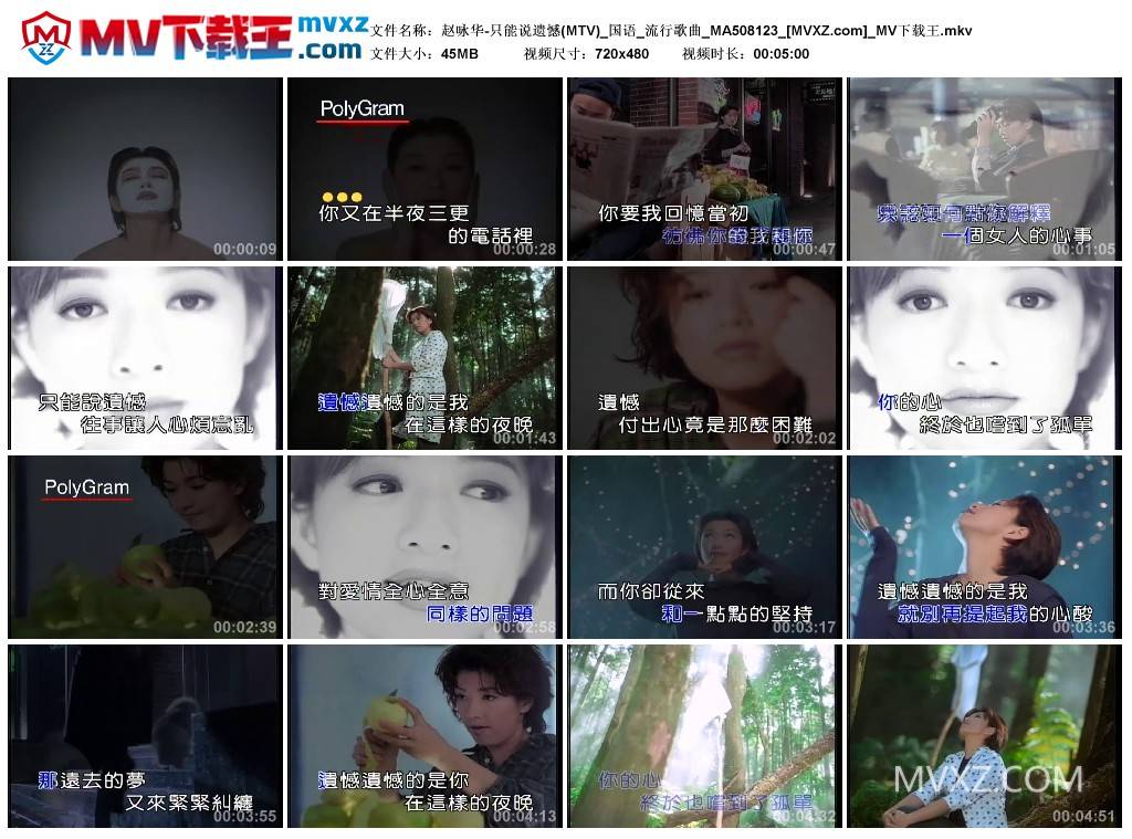 赵咏华-只能说遗憾(MTV)_国语_流行歌曲_MA508123